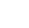 Pava Center